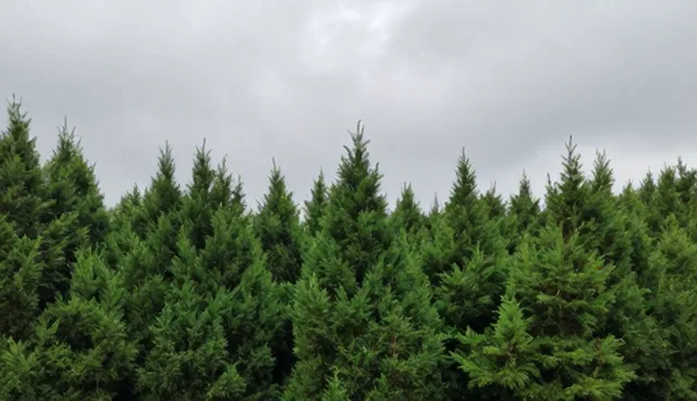 预算管理中的对象覆盖问题如何解决?